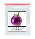 80 Sementes De Berinjela Redonda Roxa
