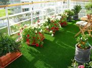 8m² Tapete De Grama Sintética Festas Decoração Provençal