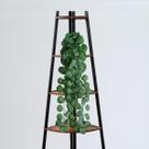 9 Folhagens Artificiais: Decoração Suspensa Realista, Adicione Vida e Cor ao Seu Espaço - DE0422 9 Folhagens Artificiais: Decoração Suspensa Realista, Adicione Vida e Cor ao Seu Espaço - DE0422