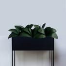 9 Folhagens Artificial (26CM) Qualidade Premium Realista Ideal para Composição de Vasos Florais - DE0924