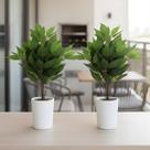 9 Hastes de Fícus artificiais para fundos de muro inglês e decorações de festas com plantas - DE0224