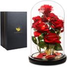 A Bela e a Fera Rose, presentes de Natal exclusivos para ela, flores para entrega Prime Romantic Rose para mulheres, a caixa de presente recém-projetada Rose em uma cúpula de vidro com luz LED para aniversário, aniversário
