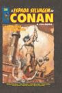 A Espada Selvagem De Conan Vol. 20