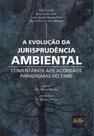 A Evolução da Jurisprudência Ambiental Comentários aos Acórdãos Paradigmas do TJMG A Evolução da Jurisprudência Ambiental Comentários aos Acórdãos Paradigmas do TJMG