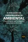 A evolução da jurisprudência ambiental: comentários aos acórdãos paradigmas do TJMG - DEL REY