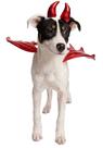 A fantasia Pet Krewe Devil Dog & Cat conecta qualquer arnês