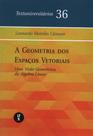 A geometria dos espaços vetoriais: uma visão geométrica da álgebra linear