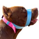 A Melhor Focinheira Do Mercado Pet Para Cachorro Cão Pitbull