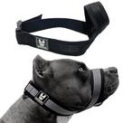 A Melhor Focinheira Para Cachorro Do Mercado Pet Do Brasil