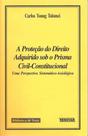 A Proteção do Direito Adquirido Sob o Prisma CivilConstitucional