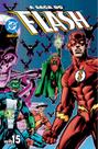 A Saga Do Flash 15