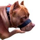 A Única Focinheira Confortável Do Mercado A Mais Vendida Pet Pitbull Dogvix