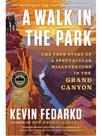 A walk in the park - the true story of a spectacular misadventure in the grand canyon