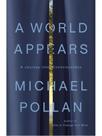 A world appears