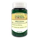 Abacateiro 250mg 60 cápsulas Cantinho da Terra