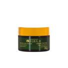 Abelha Rainha Aura R Creme Facial Para Rugas e Cicatrizes - 30g Abelha Rainha Aura R Creme Facial Para Rugas e Cicatrizes - 30g