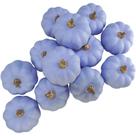 Abóboras de espuma decorativas Winlyn Light Purple 12 unidades