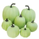Abóboras decorativas de espuma Winlyn Sorted Light Green 7 unidades