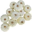 Abóboras decorativas Winlyn Cream Foam, 12 unidades para colheita de outono