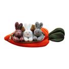 Abra o zíper The Rabbit Doll Toy3 Bunnies em uma bolsa de ce