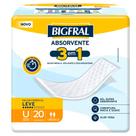 Absorvente Bigfral 3 Em 1 Com 20 Unidades