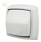 Acabamento Para Válvula De Descarga Hydra Max Branco Gelo