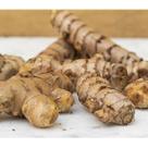 Açafrão Da Terra Raiz - PREMIUM - 50 GR. -