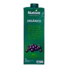 Açaí Com Guaraná Orgânico Native 1l