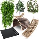 Accesorios para Terrario para Dragón Barbudo RUNANIA