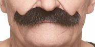 Acessório de fantasia: bigodes, autoadesivo, bigode falso