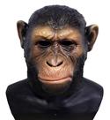 Acessório de fantasia HENGYUTOYMASK Máscara realista de macaco chimpanzé