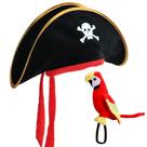 Acessórios para fantasias de pirata UOIENRT Chapéu de pirata e papagaio de pelúcia