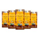 Achocolatado Vegano Choconuts A Tal da Castanha Kit 5 Unid