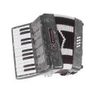 Acordeon 8 baixos 22 teclas michael acm0822 com bag