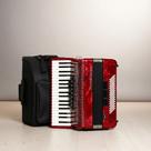 Acordeon Todeschini Yw870 37 Teclas 80 Baixos C/Bag