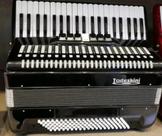 Acordeon Todeskini 120 baixos preto