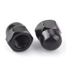 Acorn Cap Nuts Instockbolts 10-24 de aço inoxidável 304 50 unidades Acorn Cap Nuts Instockbolts 10-24 de aço inoxidável 304 50 unidades