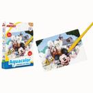 Acuacolor Mickey