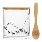 Açucareiro Tampa e Colher Bambu New Bug Lyor 8cmx9,5cm Vidro