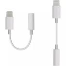 Adaptador Compatível Iphone 8 Entrada Lightning Para P2