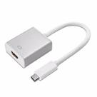 Adaptador Conversor USB C 3.1 Type C Macho Para HDMI Femea Prata