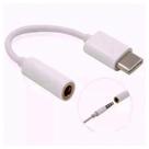 Adaptador Conversor USB-C para P2 - Converte saida Tipo C de 3,5 mm - AD0276