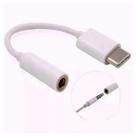 Adaptador Conversor USB-C para P2 - Converte saida Tipo C de 3,5 mm - AD0276 Adaptador Conversor USB-C para P2 - Converte saida Tipo C de 3,5 mm - AD0276