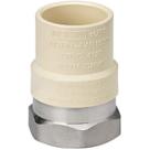 Adaptador CPVC de aço inoxidável Homewerks 538-34-34-B 3/4" Adaptador CPVC de aço inoxidável Homewerks 538-34-34-B 3/4"
