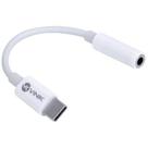 Adaptador De Fone P2 Para Usb Tipo C 7.1 Audio - Adfusbtc Adaptador De Fone P2 Para Usb Tipo C 7.1 Audio - Adfusbtc