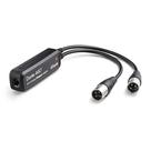 Adaptador de saída analógica Dante AVIO de 2 canais - Audinate Adaptador de saída analógica Dante AVIO de 2 canais - Audinate