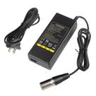 Adaptador Electrónico TREE.NB 44V 1.5A Cargador con Conector XLR de 3 Pines