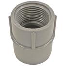 Adaptador fêmea de PVC Cantex 1-1/4" Schedule 40, Lote 12