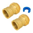 Adaptador feminino Pushfit SUNGATOR 1x1 polegada sem chumbo em latão