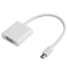 Adaptador Mini Display PORT VGA STORM 15CM